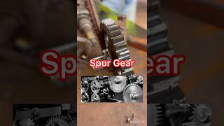 Spur Gear [upl. by Hamnet]