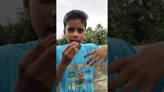 What is Oviparous And Viviparous Animals 📚 ytshorts [upl. by Emyam]