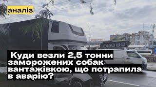 Аварія з вантажівкою в Миколаєві Куди у вантажівці везли 25 тонни заморожених собак mukhachow [upl. by Brunhilda]