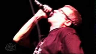 Descendents  Suburban Home Live in Sydney  Moshcam [upl. by Yeorgi]