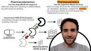 CYP Enzyme Inhibitors amp Inducers Psychotropic DrugDrug Interactions [upl. by Tarton]