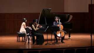 A Piazzolla The Four Seasons of Buenos Aires I Summer Piano Trio [upl. by Verdie]