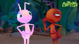 Glowing Nowhere  Antiks 🐜  Funny Cartoons for Kids [upl. by Inohs587]