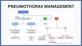 Pneumothorax Management Explained [upl. by Aidua667]