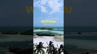 Paradise calls from Watamu Kenya [upl. by Mikah463]