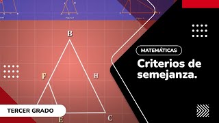 21 Criterios de semejanza [upl. by Zigmund]