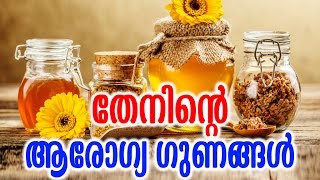 തേനിന്റെ ആരോഗ്യഗുണങ്ങൾ  Health Benefits Of Honey  Malayalam Tasty World [upl. by Tnecniv18]