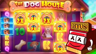 INSANE RECORD WIN DOG HOUSE MEGAWAYS OMG [upl. by Launce]