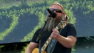 Jamey Johnson  Wild and Blue Live at Farm Aid 30 [upl. by Aihseit168]