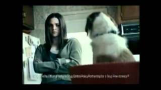 Anti Weed Commercial Talking Dog Original [upl. by Ahseinat]