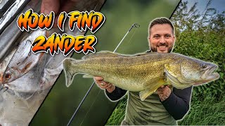 Fish the TIP to find Zander  zander zanderfishing deadbaiting [upl. by Honorine]