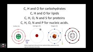 212 Biological Molecules b Monomers Polymers Hydrolysis Condensation c Elements in Molecules [upl. by Ytinirt794]