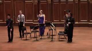 Disco medley for wind quintet  Philharmonic Five [upl. by Glynis]