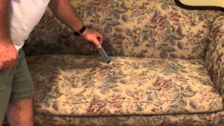 How to remove dog and cat urine from couch [upl. by Bolten410]