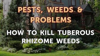 How to Kill Tuberous Rhizome Weeds [upl. by Manfred]