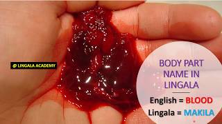 BODY PART NAMES IN LINGALA part 2 [upl. by Pudendas]