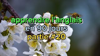 phrases simples pour apprendre langlais en 3 mois partie 20 [upl. by Giamo]