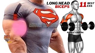 11 BEST BICEPS WORKOUT  LONG HEAD  WITH DUMBBELLS ONLY AT HOME TO GET BIGGER ARMS FAST [upl. by Eidderf482]