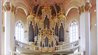 JSBachChristoph Bossert  Fantasia C Dur BWV 573 [upl. by Nerita434]