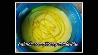 Especial BEBÉS  Puré de salmón con arroz y verduritas [upl. by Zalucki]