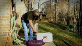 How To Cook Crawfish  Louisiana Crawfish Company [upl. by Otrebogir]