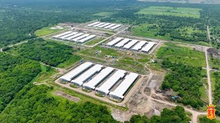 Inside SMCs mega poultry farm in Hagonoy Davao del Sur [upl. by Demha71]