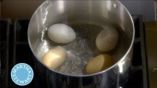 How to Cook a HardBoiled Egg  Martha Stewarts Cooking School [upl. by Eybba381]