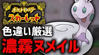 【ポケモンSV】普段じゃ厳選できない『濃霧ヒスイヌメイル』厳選する！ [upl. by Galvan465]