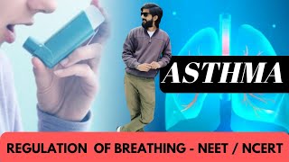 Regulation of Breathing  Rhythm center amp Apneustic Center  Asthma Treatment  NEET NCERT CLASS 11 [upl. by Ysac784]