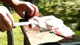 Fillet Rainylake Crappie [upl. by Halilak]