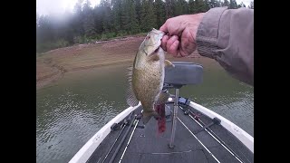 Idaho bass fishing Dworshak Reservoir prefish day [upl. by Narad653]