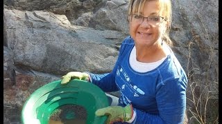 Gold Panning at Lynx Creek in The Prescott National Forest [upl. by Larual411]