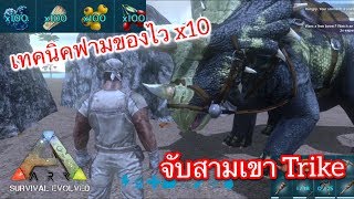 ARK Mobile มือถือ EP11 จับสามเขากับการฟามเบอรี่คูน10 Trike Taming [upl. by Schoof846]