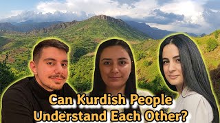 Kurdish Dialects  Can they Understand Each Other [upl. by Itram]