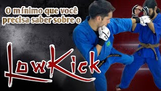 Low Kick o mínimo que você precisa saber Kudo  MMA japonês [upl. by Yhtomit421]