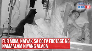 Fur mom naiyak sa CCTV footage ng namaalam niyang alaga  GMA Integrated Newsfeed [upl. by Nwahsuq343]