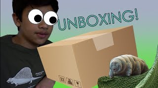 Special Unboxing  Tardigrades the toughest animals on Earth [upl. by Eachelle958]