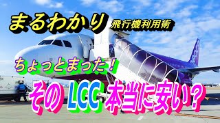 間違った予約をしないように覚えておきたい 国内線LCCの注意点【飛行機 乗り方 ピーチ ジェットスター スプリングジャパン】 [upl. by Lener]