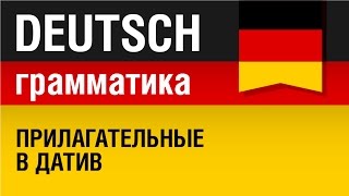 Прилагательные в датив Adjektive im Dativ Немецкая грамматика Урок 1431 Елена Шипилова [upl. by Damalis]