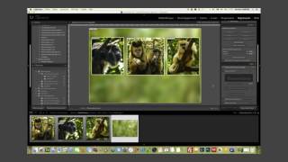 Réalisation dun triptyque avec Lightroom [upl. by Goodard]