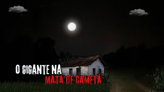 A Noite Que Quase Fui Comido Em Cametá  Pará LaEle😨😢😢  Melhores Do Mês  Parte 1 [upl. by Traweek]