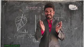 RESPIRATION IN PLANTS  10 th Class  Bio Science  General Studies  For Competitive Exams [upl. by Giliana]