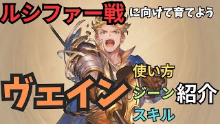 【グラブル リリンク】ジーン厳選により俺のヴェインがダメージを落とさず固くなりすぎてしまった [upl. by Nibor391]