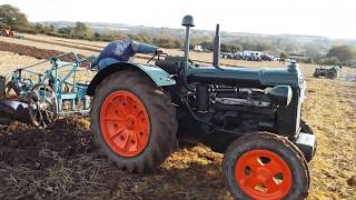 Standard Fordson P6 Stockbridge 2017 Please see description regarding copyright [upl. by Niamor]