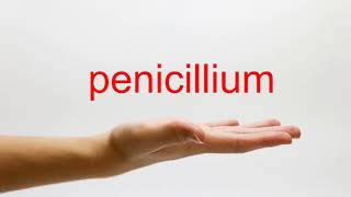 How to Pronounce penicillium  American English [upl. by Rettuc]