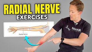 4 Exercises for Radial Nerve Pain [upl. by Alyose361]