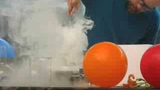 Liquid Nitrogen Demonstration [upl. by Eiramanig]