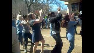 Alpha Kappa Alpha sorority strolling with Delta Gamma sorority [upl. by Happy]