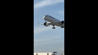 Lufthansa A350 landing at Toronto Pearson YYZ [upl. by Salomie]