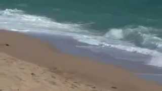 Am Strand von Malgrat de Mar Spanien [upl. by Dlabihcra]